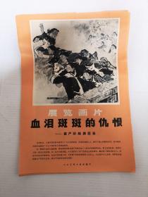 “血泪斑斑的仇恨”展览画片（连封皮28张）