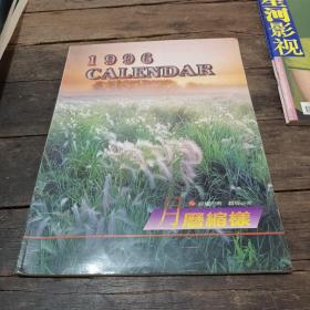 1996 pj月历缩样