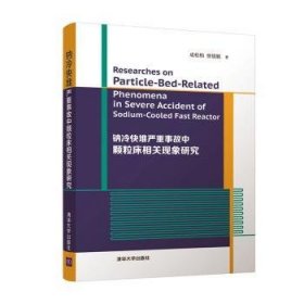 钠冷快堆严重事故中颗粒床相关现象研究 9787302576754