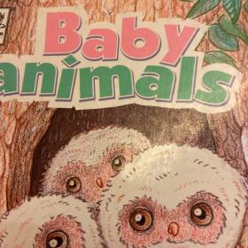 Baby animals
