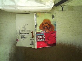 爱宠嘉年华系列丛书：聪明伶俐·贵宾犬（泰迪熊） 拍拍宠客 9787109158771 中国农业