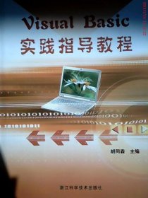 世纪精品计算机等级书系：Visual Basic实践指导教程（附光盘）胡同森