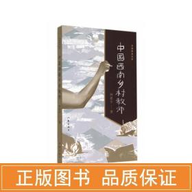 中国西南乡村教师 中国现当代文学 向思宇著 新华正版