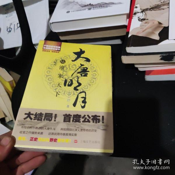 大唐明月6·谁家天下（完）