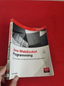 Java Websocket Programming     （16开） 【详见图】