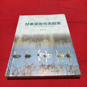 甘肃湿地鸟类图鉴（未开封）
