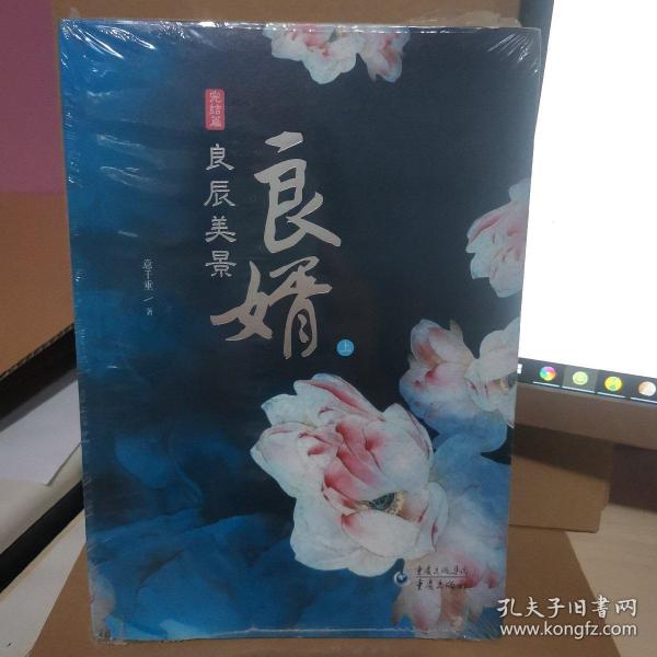 良婿2·良辰美景（上下）：完结篇意千重 著 重庆出版社 2013 12 平装休闲