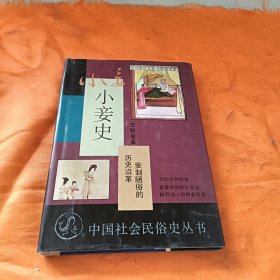 小妾史：中国社会民俗史丛书