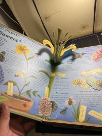 How Plants and Trees Work:  植物是怎么回事   立体翻翻书儿童科普英文原版绘本！！
