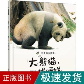 大熊猫,找呀找 绘本 唐亚明 新华正版