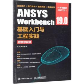 ansys workbench 19.0基础入门与工程实践(附) 软硬件技术 江民圣 新华正版