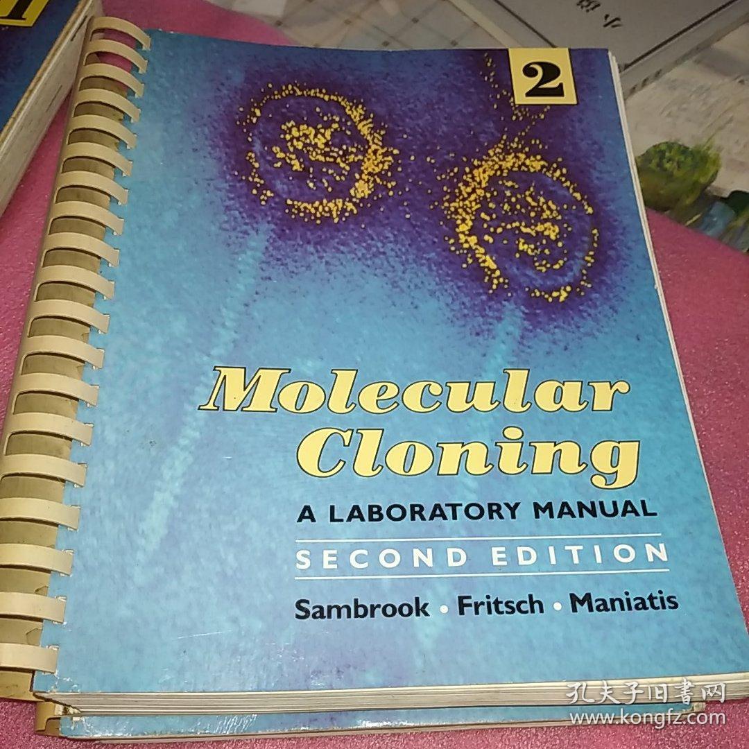 Molecular Cloning A Laboratory Manual_见图_孔夫子旧书网