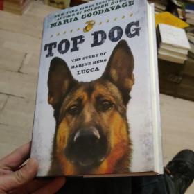 Top Dog The Story of Marine Hero Lucca
