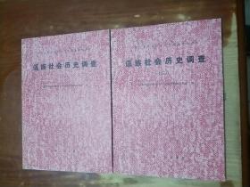 中国少数民族社会历史调查资料丛刊 佤族社会历史调查（二、三）