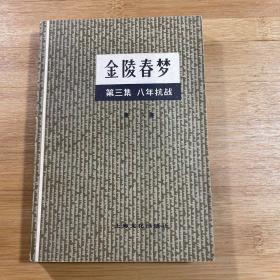 金陵春梦第三集 八年抗战