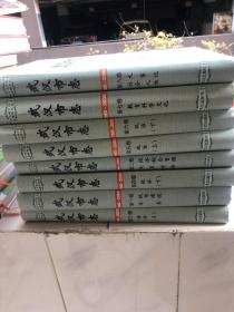 武汉市志(1980-2000)全八册(大16开精装本)