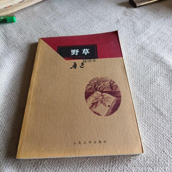 野草:野草(插图本)