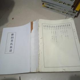 睢阳黄氏族谱1-4卷【无外皮】