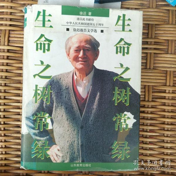 生命之树常绿 【品好 价低】