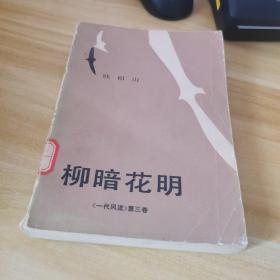 柳暗花明