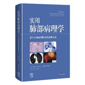 【正版书籍】实用肺部病理学：基于6种病理模式的诊断方法