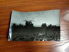 原版老照片: 雁窝岛黎明（著名摄影家 刘志伟 拍摄并签名 21.5厘米Х13.5厘米）