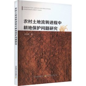 农村土地流转进程中耕地保护问题研究 9787109308282 孙丽娜 中国农业出版社