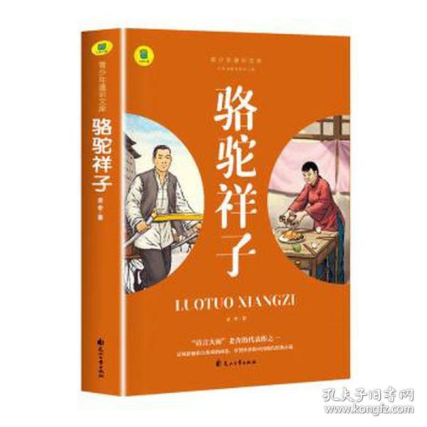 通识文库--骆驼祥子+海底两万里【全2册】中国现代经典小说 名著阅读旁批旁注版 中国经典文学作品 世界名著阅读 青少年通识文库 中学生课外阅读书籍 7-9年级中学生课外阅读绘画书