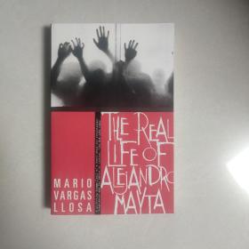 Real Life of Alejandro Mayta 狂人玛依塔 略萨 诺贝尔文学奖