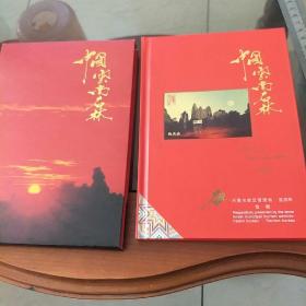 中国云南石林新世纪之旅2001