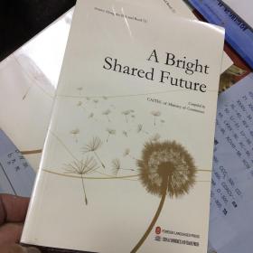7 A Bright Shared Future