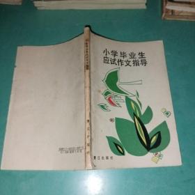 小学毕业生应试作文指导