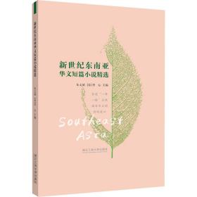 正版 新世纪东南亚华文短篇小说精选 朱文斌 9787517849117