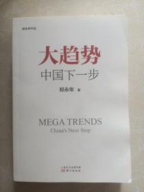 大趋势 中国下一步