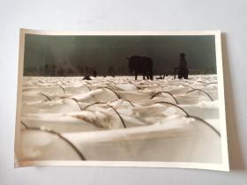 八十年代老照片 题目：耕海《30厘米✘20厘米》