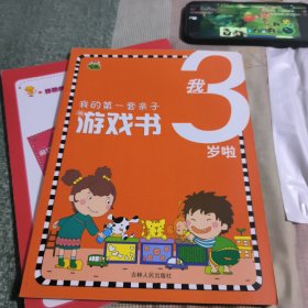 我的第一套亲子游戏书：我3岁啦