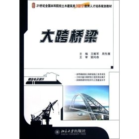大跨桥梁王解军，周先雁北京大学出版社