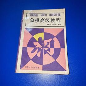 象棋高级教程