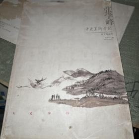 中央美术学院博士生精品集：张学峰