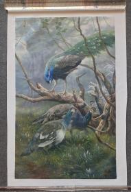 249.  福建自由画家王力老师2023年4月油画画作，漂亮，包手绘。