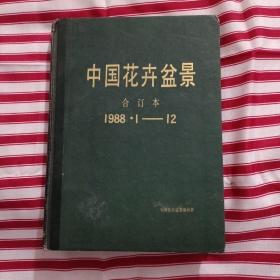 中国花卉盆景合订本1988