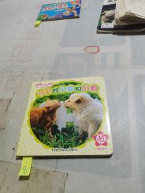 可爱的小猫和小狗