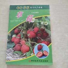 袖珍果蔬优质丰产栽培  草莓