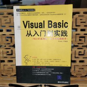 Visual Basic从入门到实践