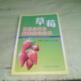 草莓优质品种及配套栽培技术