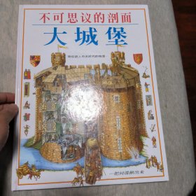 不可思议的剖面：大城堡