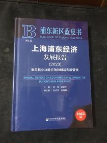 上海浦东经济发展报告（2023）（全新塑封）