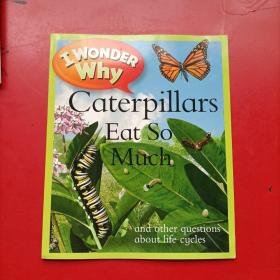 I Wonder Why Caterpillars Eat So Much