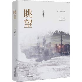 眺望王大进北京十月文艺出版社