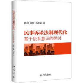 民事诉讼制现代化 基于系意识的探讨 法学理论 陈刚,宫楠,邓继好 新华正版